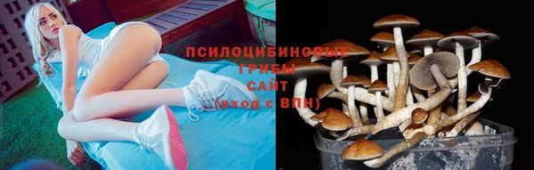 дмт Михайлов