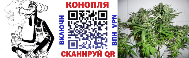 Конопля гибрид наркошоп Ялуторовск